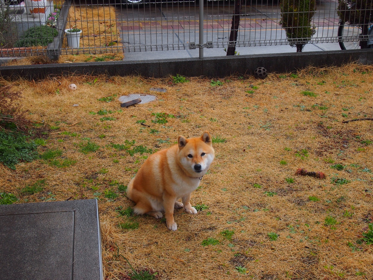 见证历史!中国巅峰对决卡塔尔,卡拉斯科3球2助不止是接管比赛