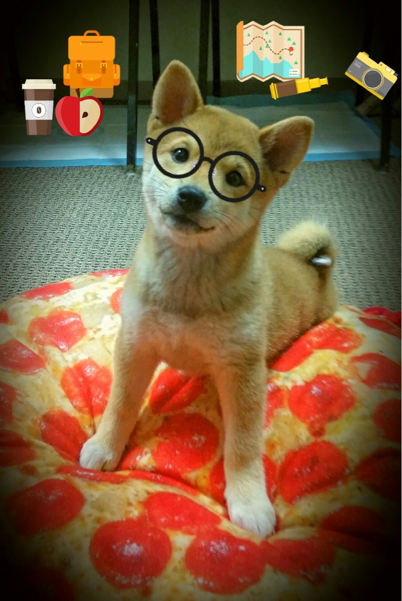 开云体育APP下载-宇宙中的恒星，世界排名争夺战之夜，苏亚雷斯成为全场焦点