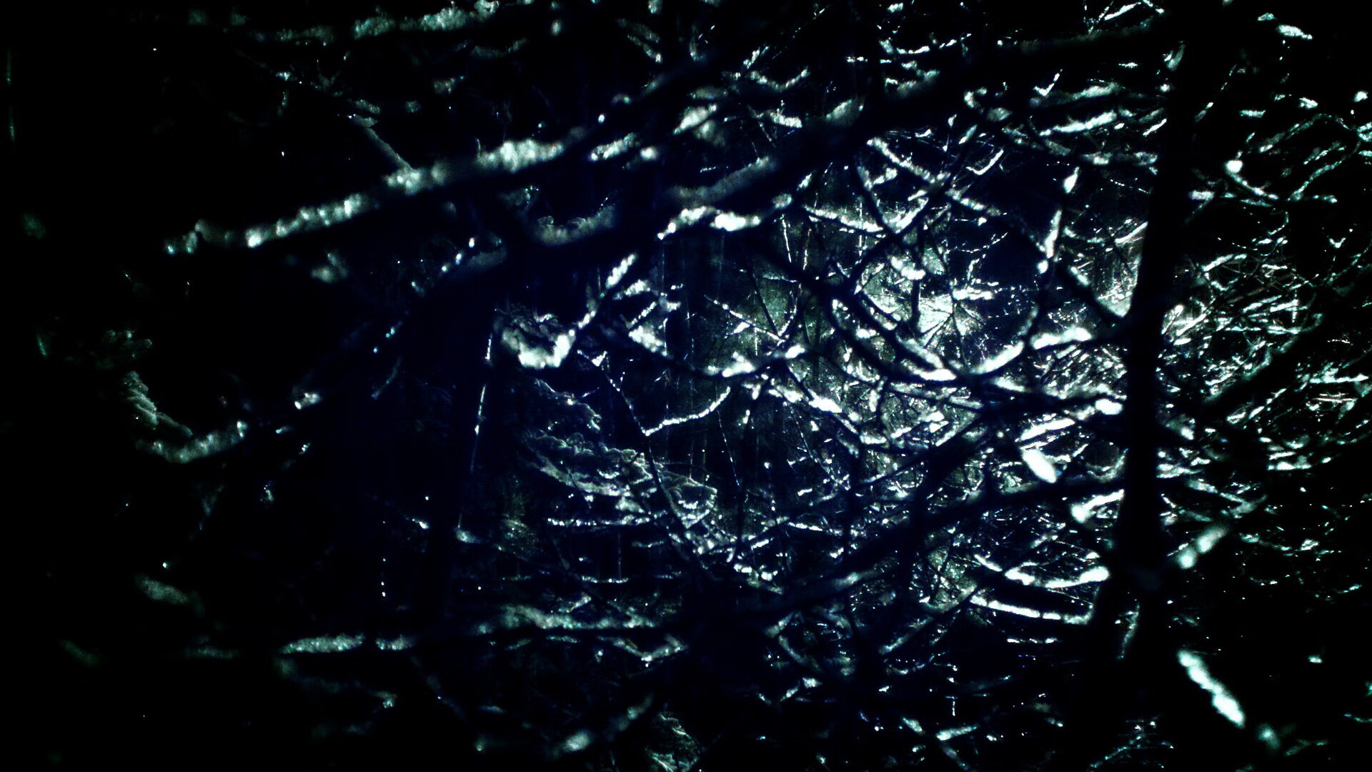 开云体育平台APP-双星耀夜，当NBA总决赛遇上苏格兰横扫哥伦比亚的跨界交锋